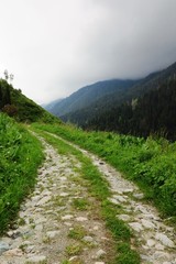 The old  road in the mountains