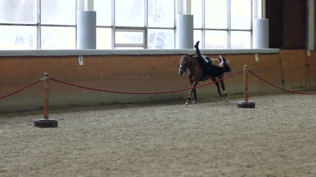 A man riding trick and Vaulting on horse. A man riding a horse upside down.