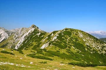 Fototapeta na wymiar Triglav National Park - Julian Alps, Slovenia
