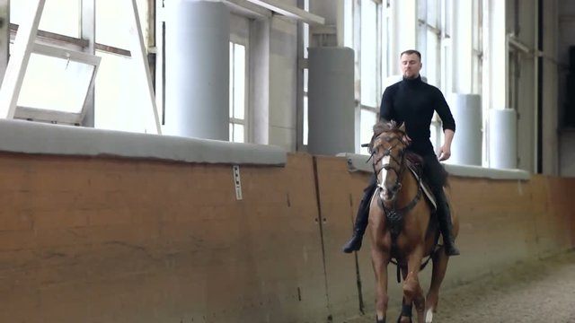 A man riding a brown horse around the arena. . Don horse breed.