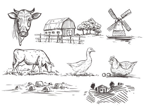 hand drawn illustration with mill, farm, cow and goose and chicken and haystacks and trees sketches. vector set