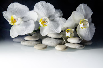 Naklejka na ściany i meble flat stones on a white glass on the background of white orchids 