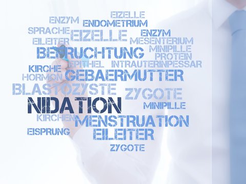 Nidation