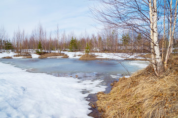 Fototapeta na wymiar Spring landscape with melting snow and thawed patches in forest