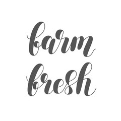 Farm fresh. Brush lettering illustration.