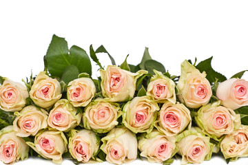 Roses background. mothers Day. Valentine's Day