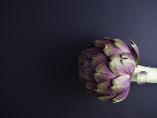Obraz premium Fresh globe artichoke isolated on dark background