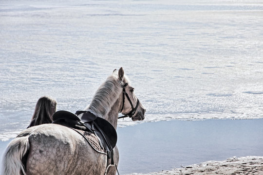 Girl and white hors on winter beach against of frozen sea.Unrecognizable person.Toned image.