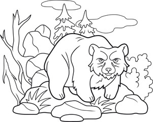 Cartoon funny bear coloring book
