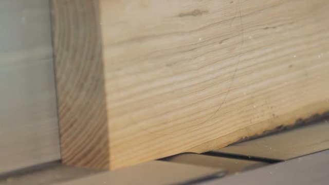 Carpenter sawing wood with professional circular saw