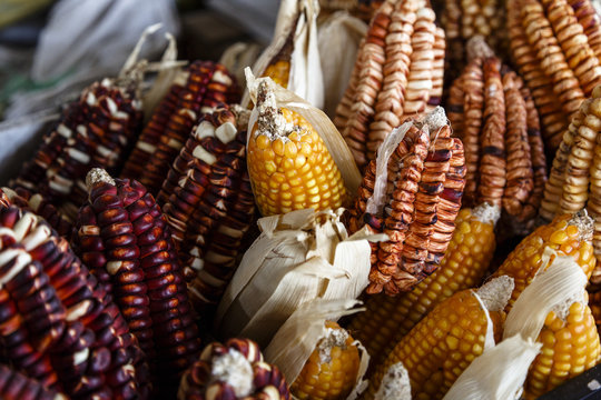 Andean corn at the San Pedro market, Cuzco, Peru.