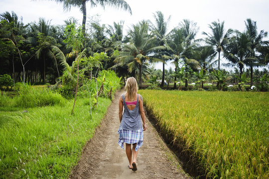 Indonesia, Java, back view of woman walking on dirt track through rice fields