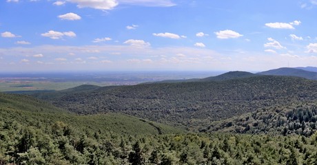 Naklejka premium Aussicht vom Eckkopftturm bei Bad Dürkheim über den Pfälzerwald