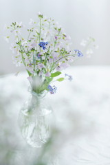 Wildflowers in a vase. Spring time. Spring wildflowers.