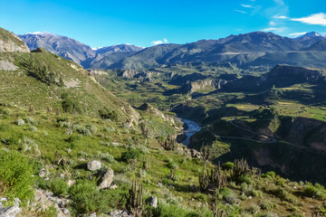 Naklejka na ściany i meble Scenic view to wonderful green Colca Canyon in springtime, Peru
