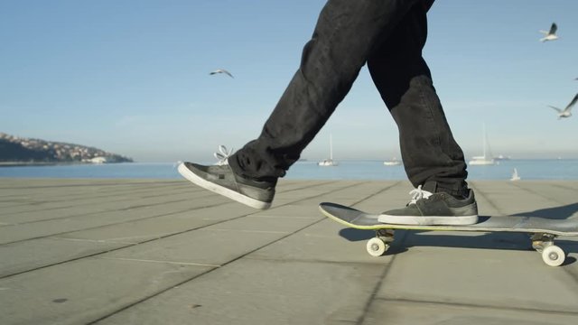SLOW MOTION CLOSE UP DOF:  Unrecognizable skateboarder skateboarding along the concrete street on sunny summer day on the beach chasing away seagulls. Skateboard deck and wheels spinning on a pavement