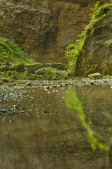 Stone bridge in Rakov Škocjan in Slovenia