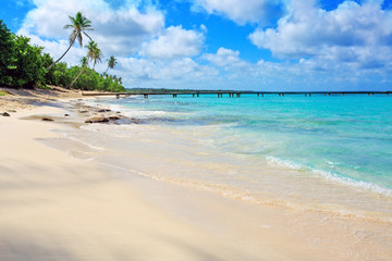 Tropical beach with palms and Caribbean sea .