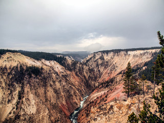 Grand Canyon of the Yellowstone viewed from Grand View Point, Yellowstone National Park, Wyoming, United States