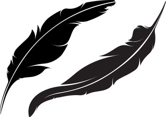 Pair of vector silhouette of feathers