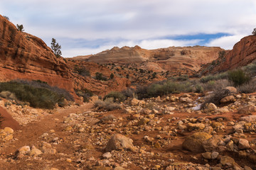 Vermillion Cliffs National Monument