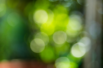 Beautiful bokeh colors.