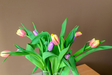 Tulipany jako tło z okazji świąt