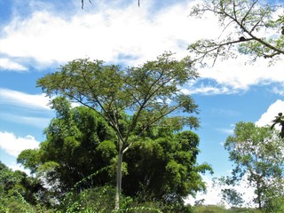 Obraz premium Onde o céu é mais azul.