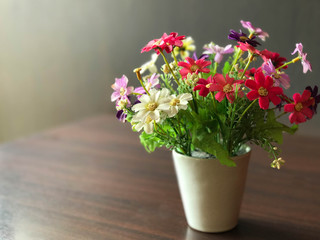 Colorful flower pot decorated on wooden table