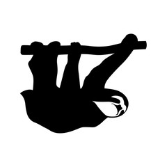 Sloth on the branch © dnbr