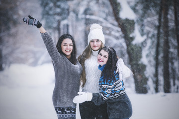 Girlfriend beautiful young women dressed warmly in winter Park