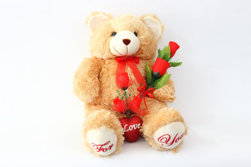 Brown teddy bears and red roses on a white background.