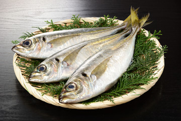 鯵
