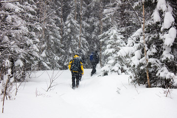 extreme group makes trip to the winter taiga