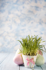 flowerpot with a grass