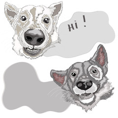 Two dogs , portrait , vector illustration on white background
