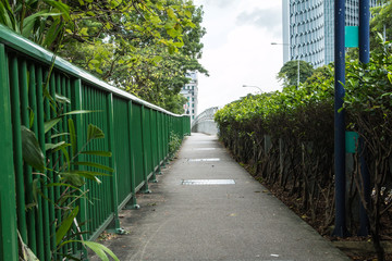 Walkway in the park on a sunny day.