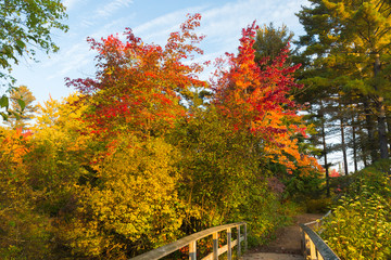 Obraz premium Bonnechere Provincial Park