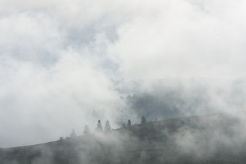 Fototapeta na wymiar Autumn landscape with fog in a mountain forest