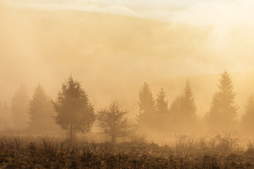 Autumn Landscape with mist and sun