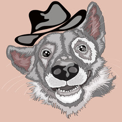 grey  dog in hat ,  vector illustration , on beige background