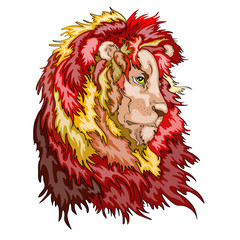 Head of a lion vector illustration , red design isolated on white background