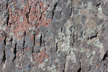 background of natural stone
