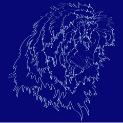  Head of a lion vector illustration , coloring on a blue background