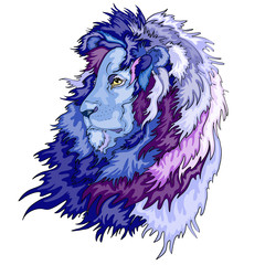Lion head , vector illustration , blue design isolated on white background