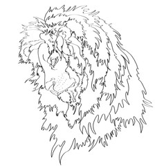 Lion portrait  vector illustration , coloring on a white  background