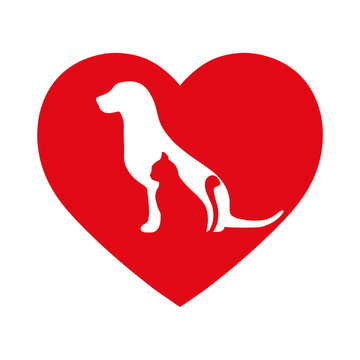 A symbol of veterinary medicine in the heart