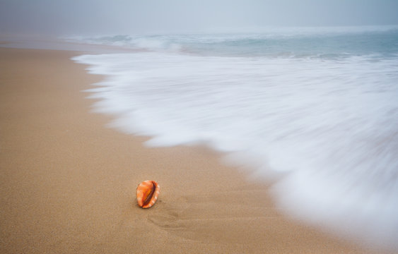 O mar e a areia.