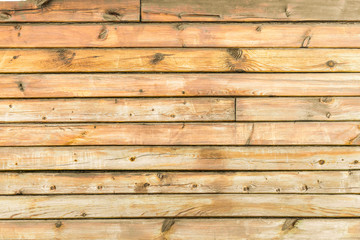 Naklejka premium The texture of a log wall