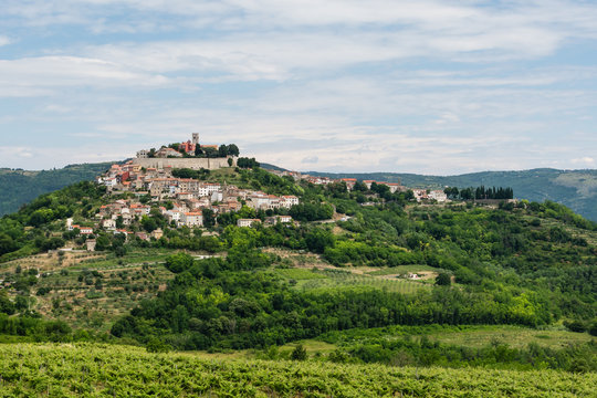 Fototapeta An ancient  small town on a hill, bottom view. Panoramic view to Motovun, small town Istria, Croatia.
